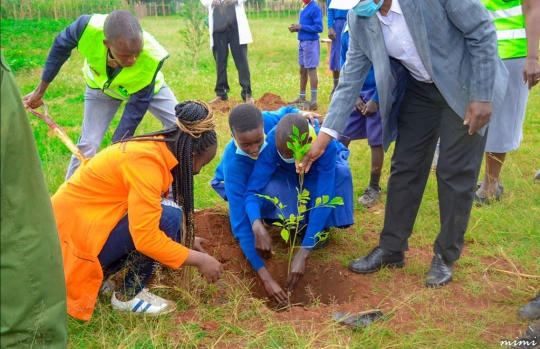 Landscape Restoration & Tree Growing