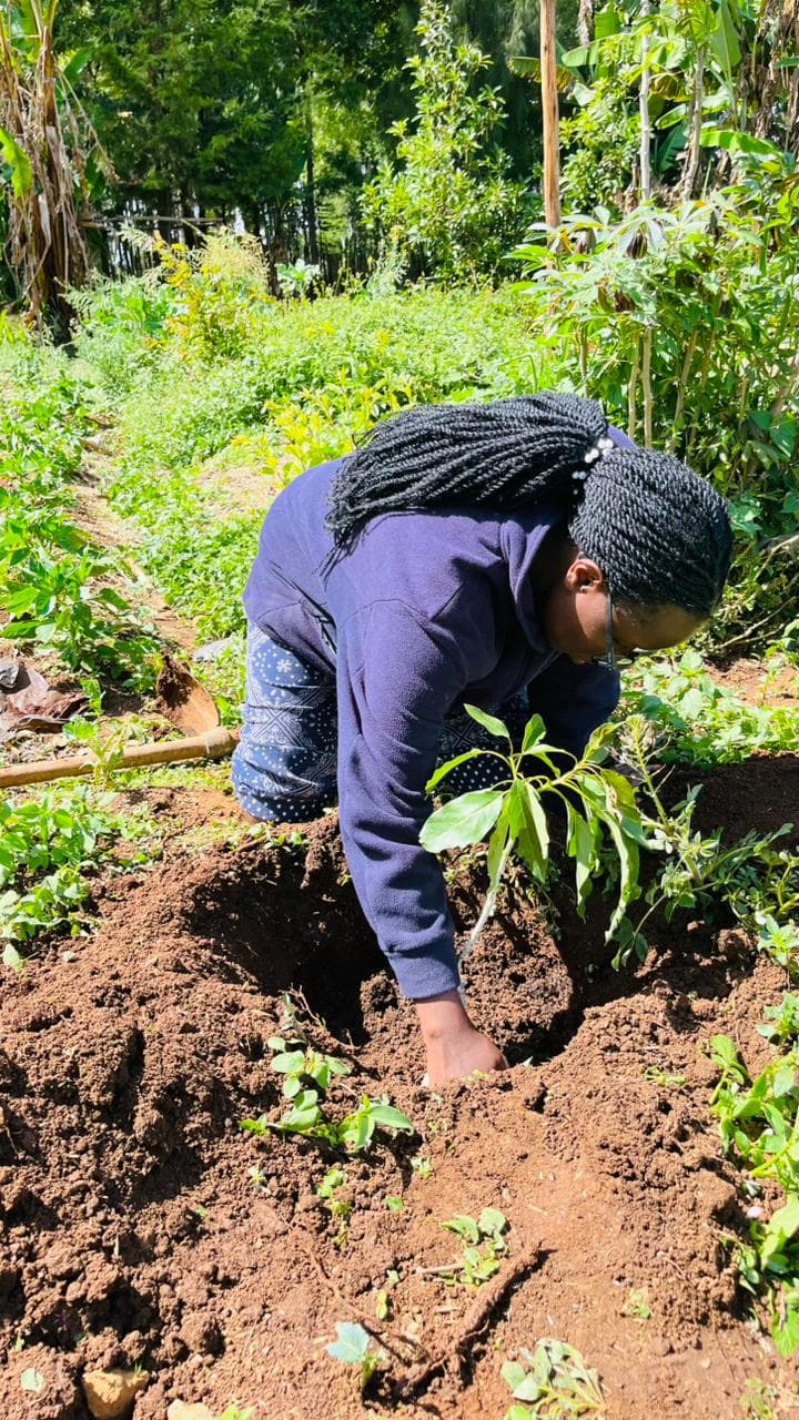 Agroforestry & Farmer Support