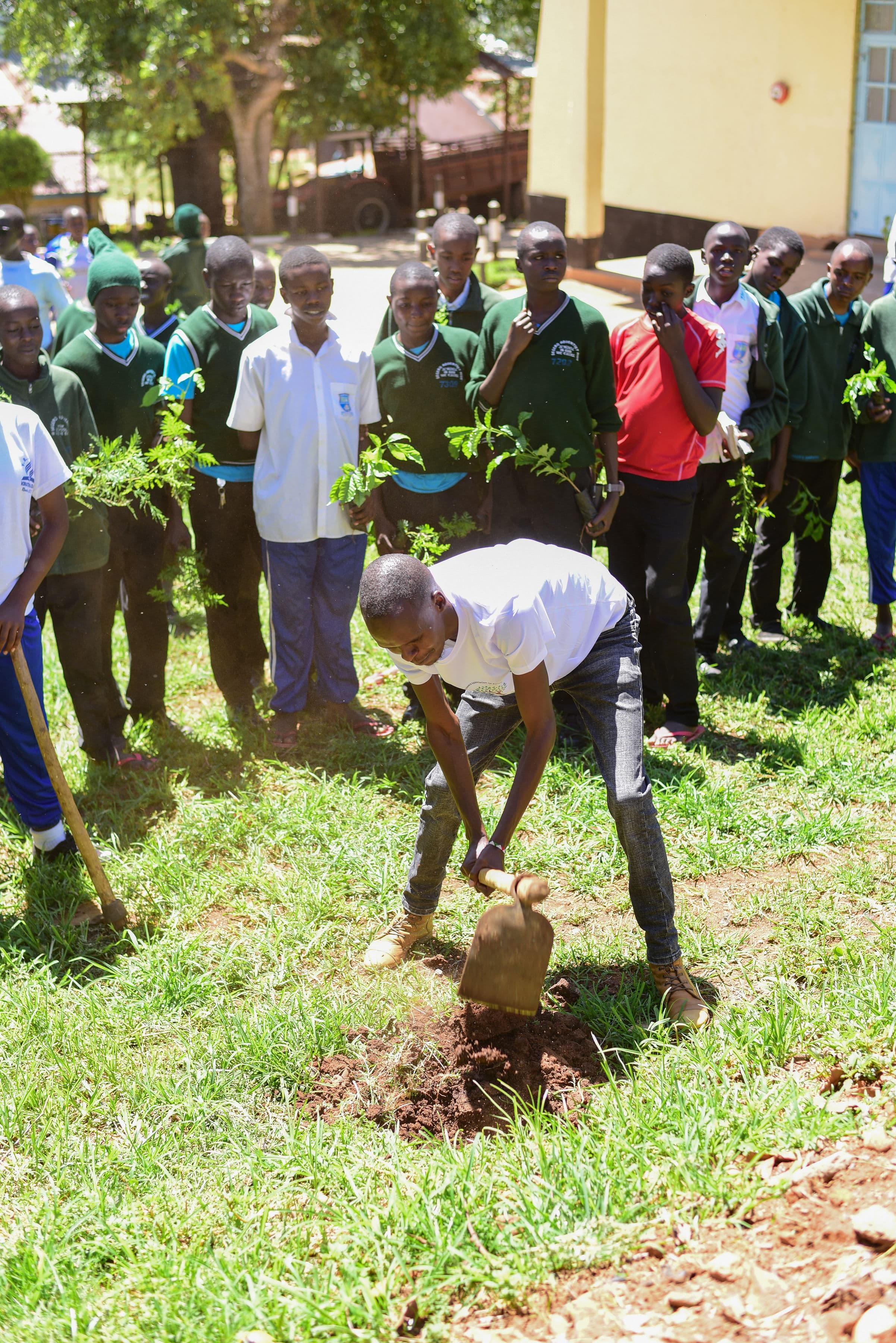 TGAK Home Gallery Photo 1