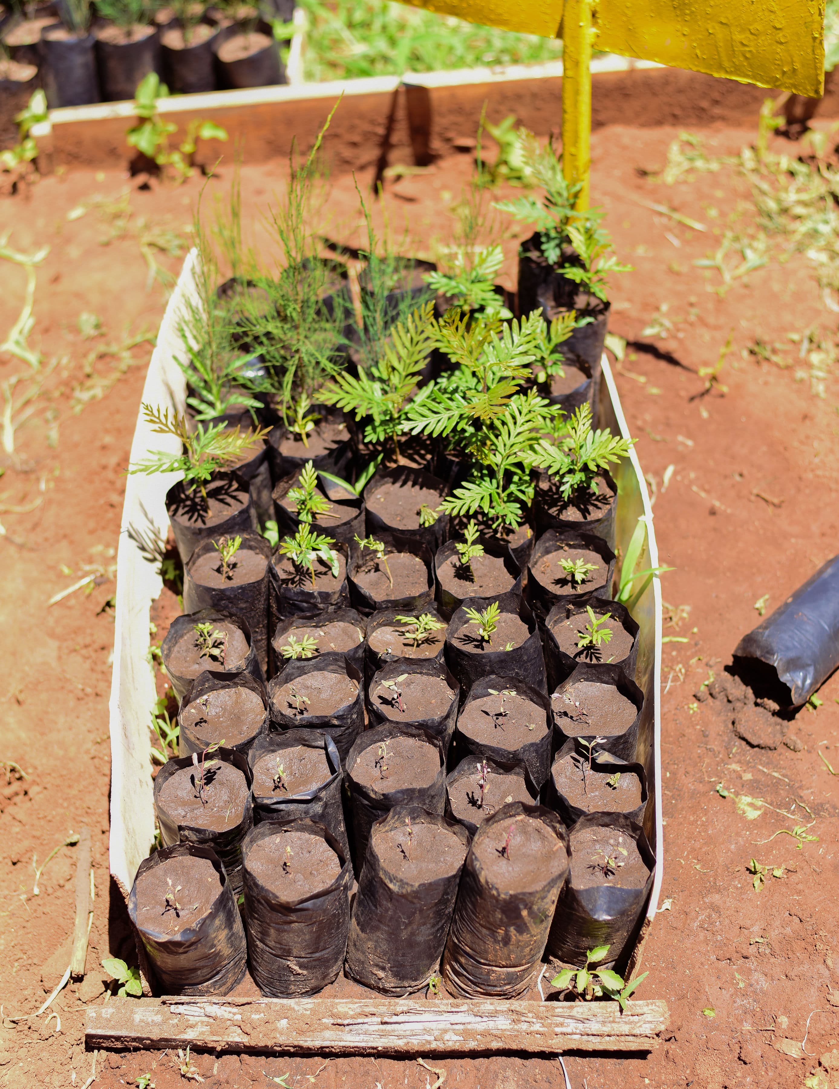 TGAK Gallery Photo 7